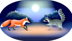 animal battle speculation fun
