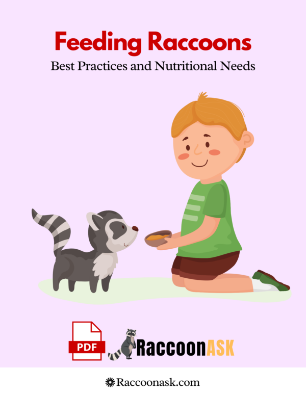 Feeding Raccoons Best Practices and Nutritional Needs