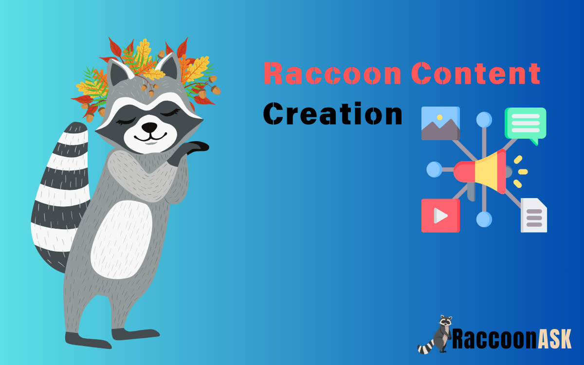 Raccoon Content Creation