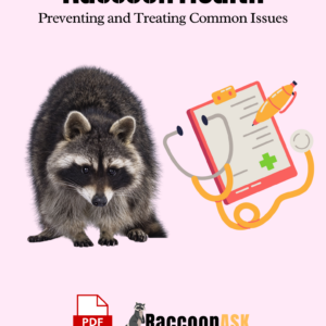 Raccoon Health Preventing and Treating Common Issues