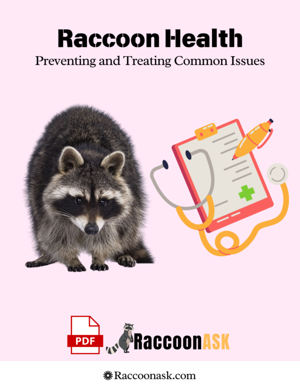 Raccoon Health Preventing and Treating Common Issues