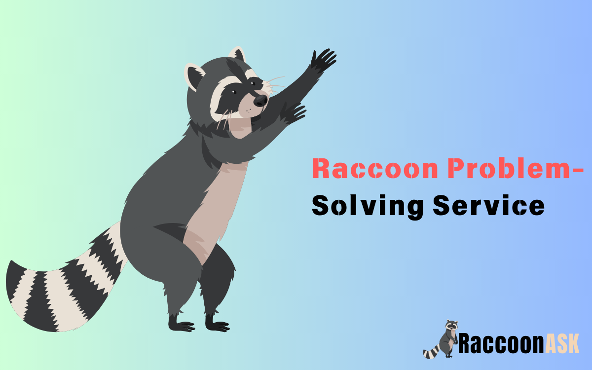 Raccoon Problem Solving Service