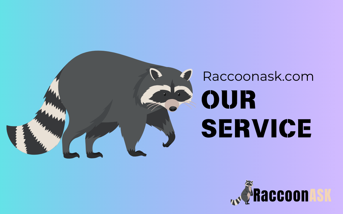 Raccoonask Service